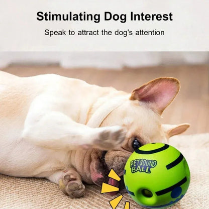 Perro jugando con pelota sonora verde para estimular interés y diversión