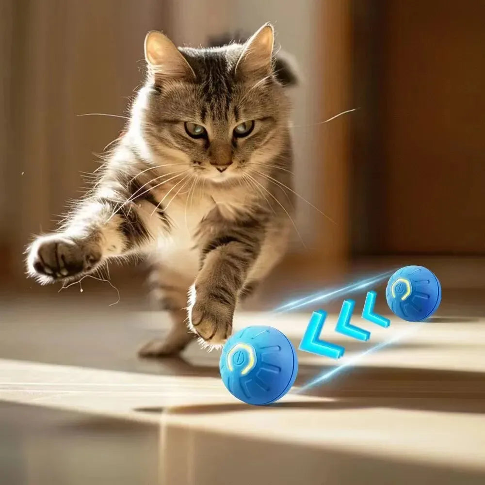 Gato jugando con pelotas interactivas azules para estimulación mental y ejercicio