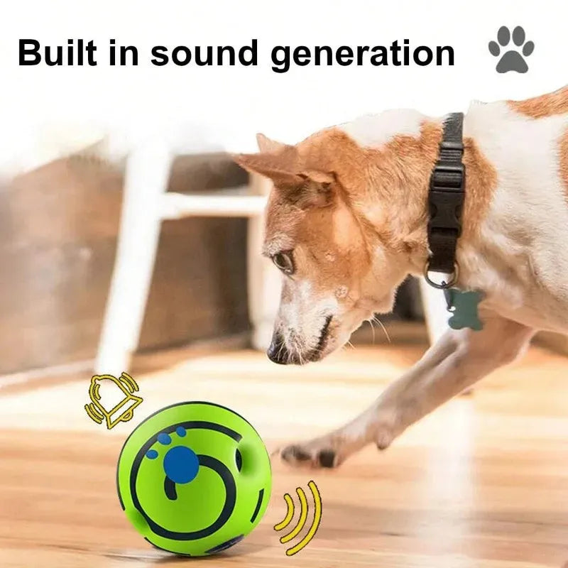 Pelota para perro con sonido, juguete interactivo para mascotas en casa
