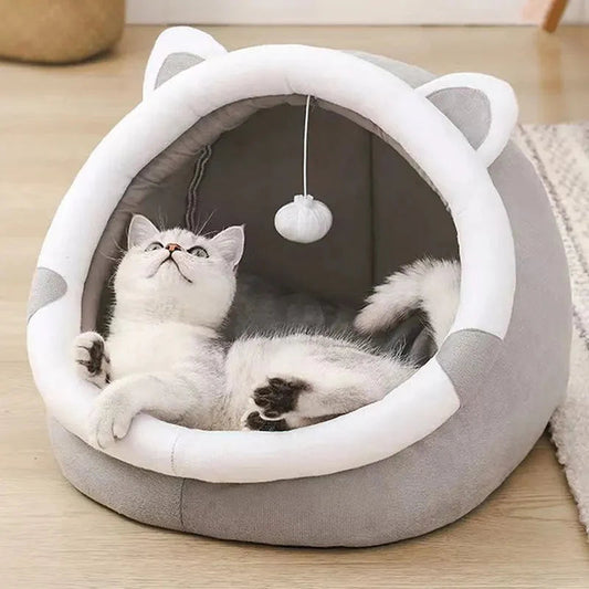Gato blanco jugando en cama acogedora con orejas y juguete colgante, ideal para mascotas