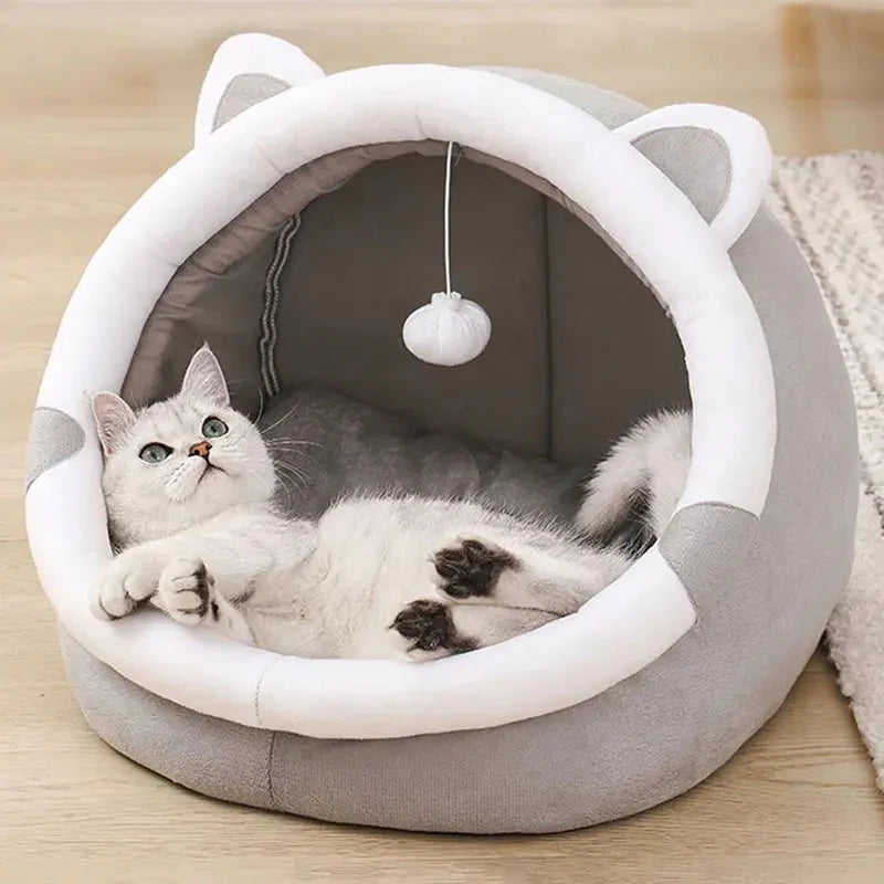 Gato blanco descansando en cama acogedora con orejas y juguete colgante, ideal para bienestar felino