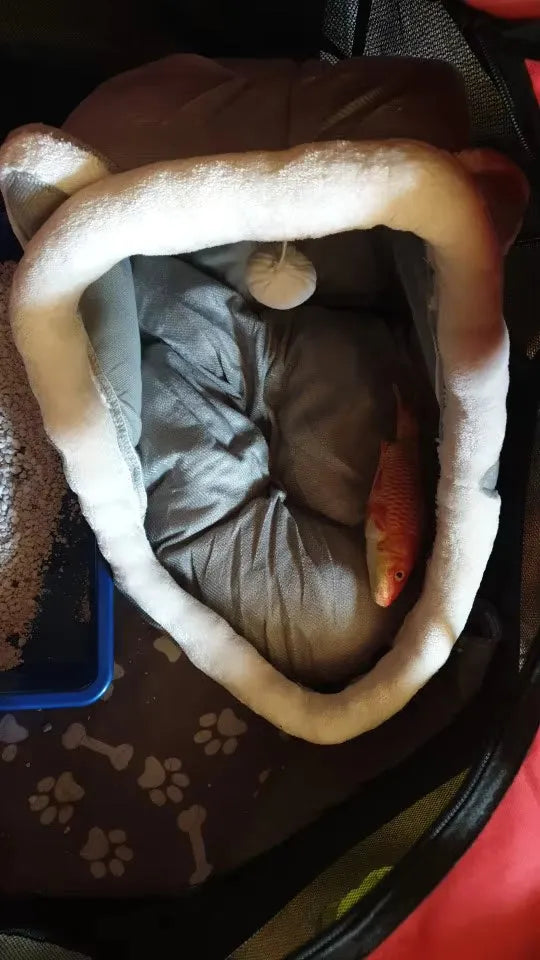 Cama acogedora para mascotas con pez decorativo, ideal para el bienestar de tu mascota en casa