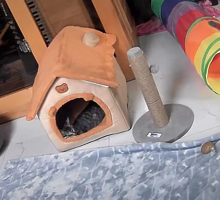 Casa acogedora para gato con rascador y túnel de colores, ideal para su bienestar y diversión.