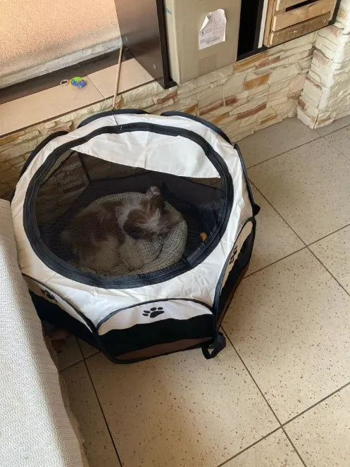 Gato descansando en jaula plegable con malla, ideal para mascotas en casa