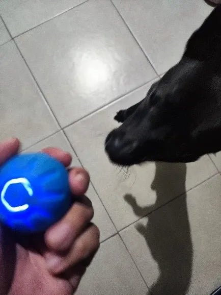 Pelota luminosa azul para perro, juguete interactivo en piso de baldosas