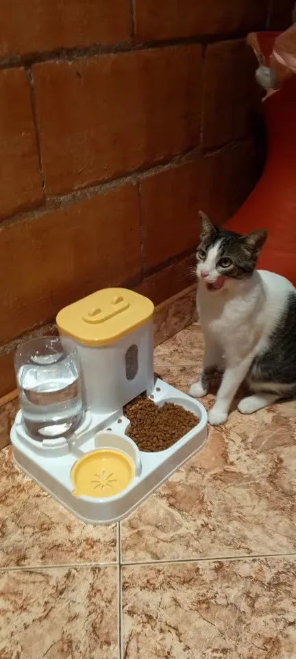 Gato comiendo de comedero automático con dispensador de agua y comida seca para mascotas