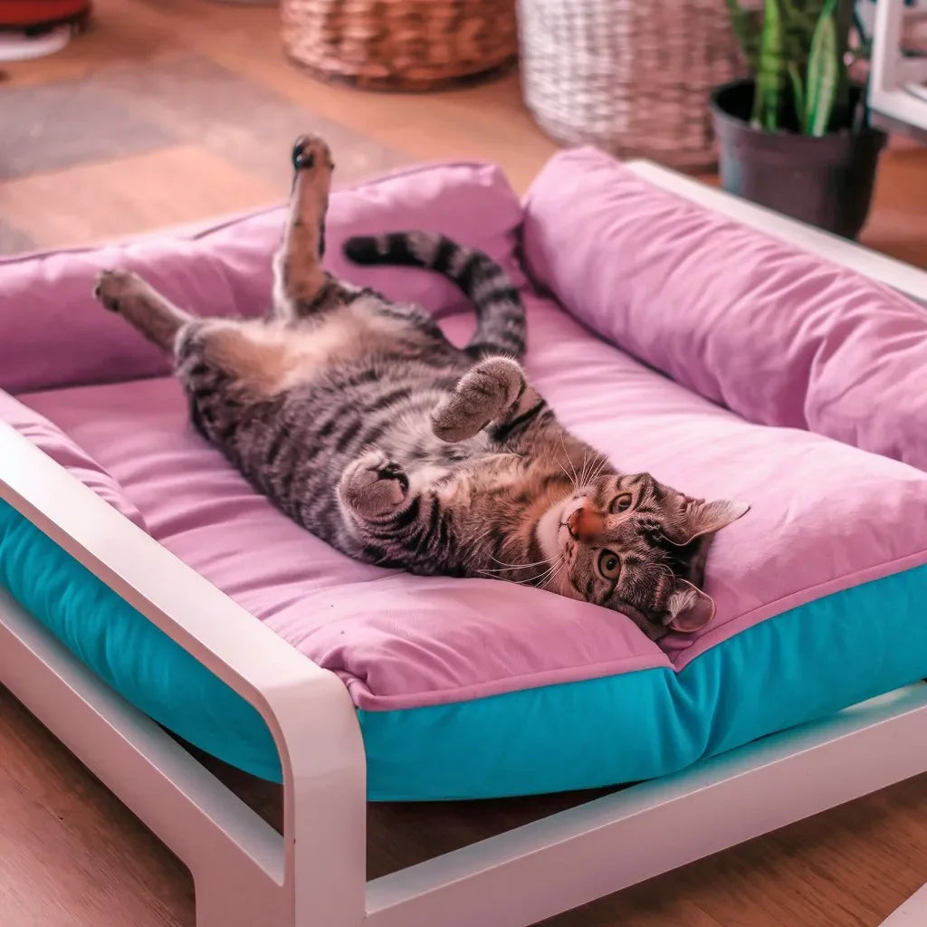 Gato rayado relajado en cama para mascotas rosa y turquesa, ideal para bienestar felino en casa